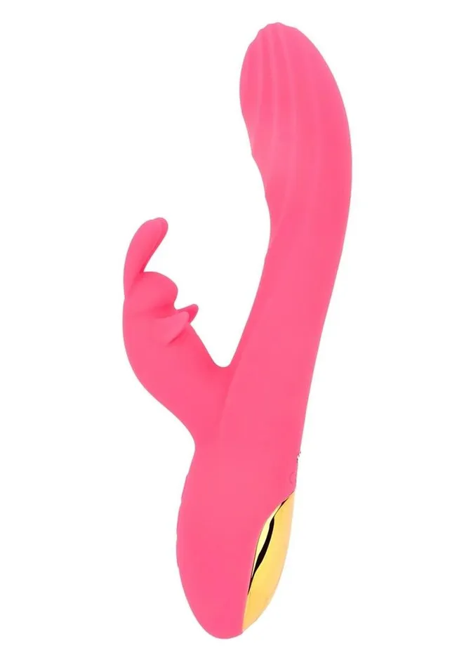 INTIMATELY GG THE GG RABBIT VIBE COUSINS GROUP Vibrators