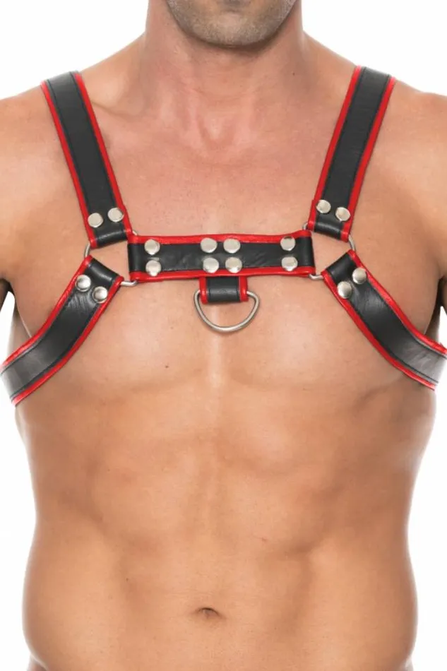 Vibrators Shots Toys Ouch by Shots Toys Premium Leather Bulldog Chest Harness BlackRed